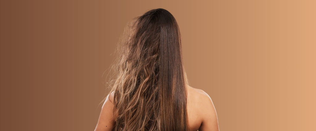 Best Protein Treatment for Frizz-Free Hair