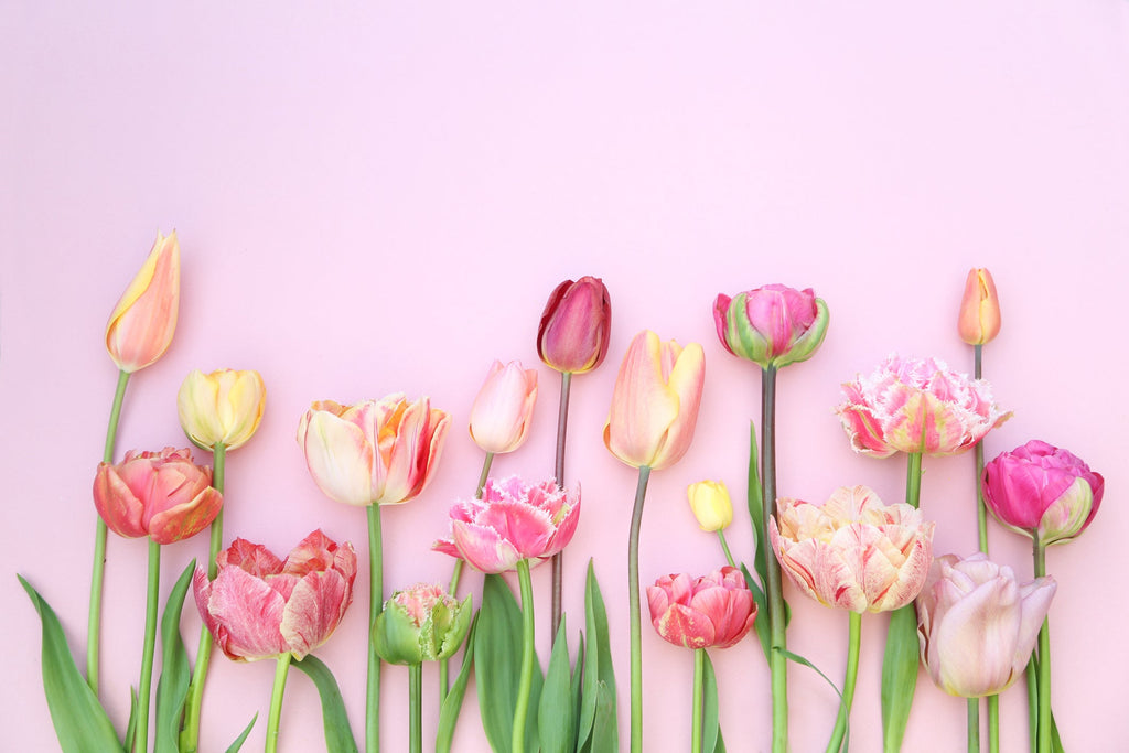 Your Trusted Source for Natural Cosmetics